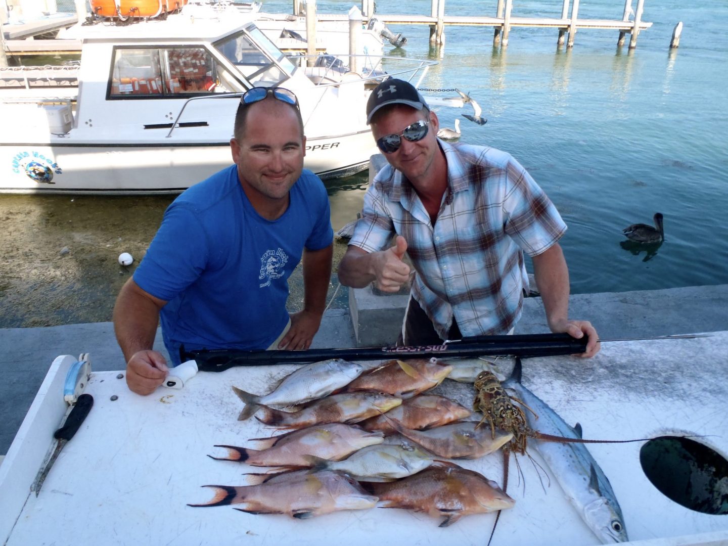 spearfishing gear for beginners spearfishing gear for beginners
