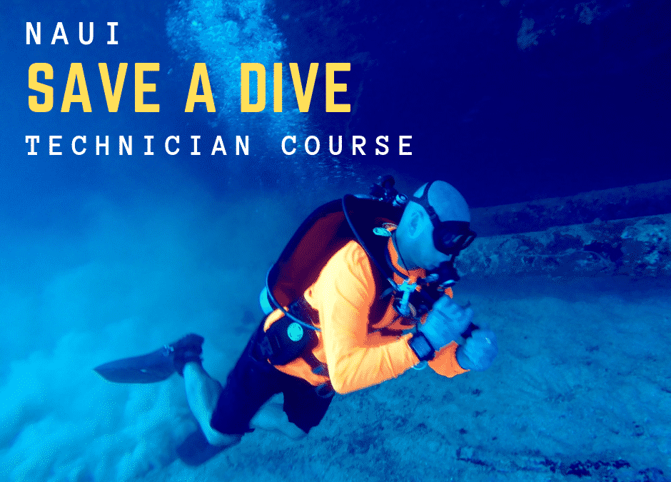 Are You Really Ready To Go Diving?
