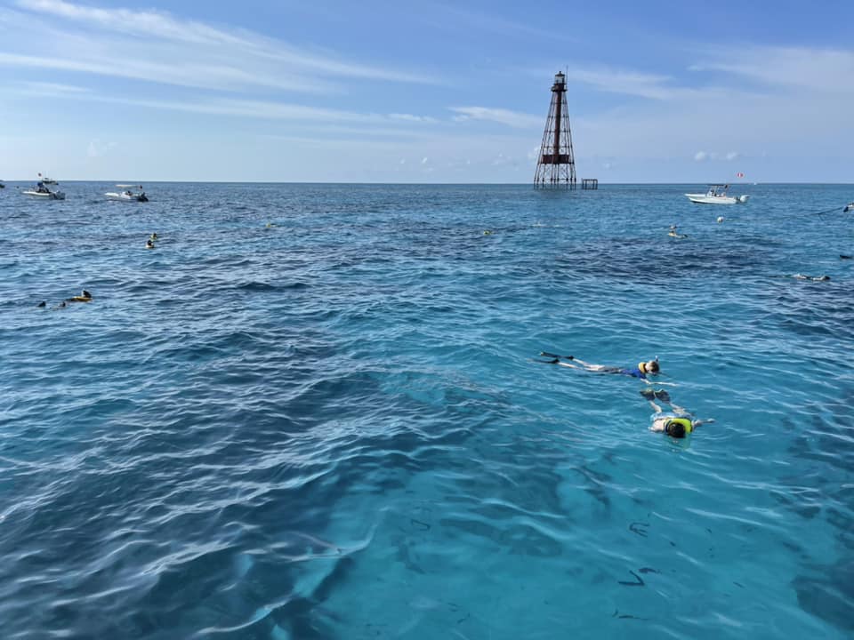 best snorkeling in the florida keys