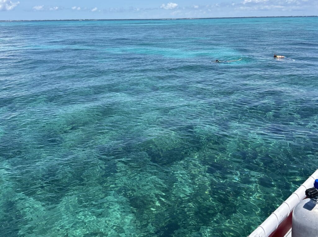 Best Family Snorkeling In Marathon Fl: Best Reefs, Tours &Amp; Tips For Kids 3 florida keys snorkeling with kids