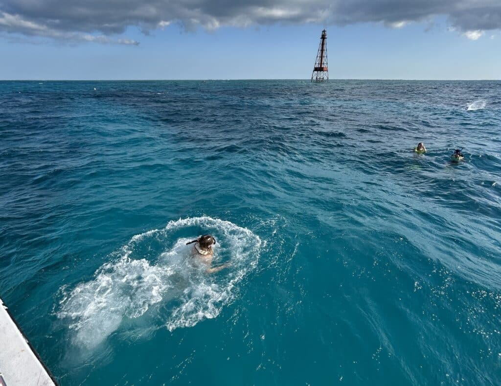 Best Family Snorkeling In Marathon Fl: Best Reefs, Tours &Amp; Tips For Kids 1 sombrero reef for kids