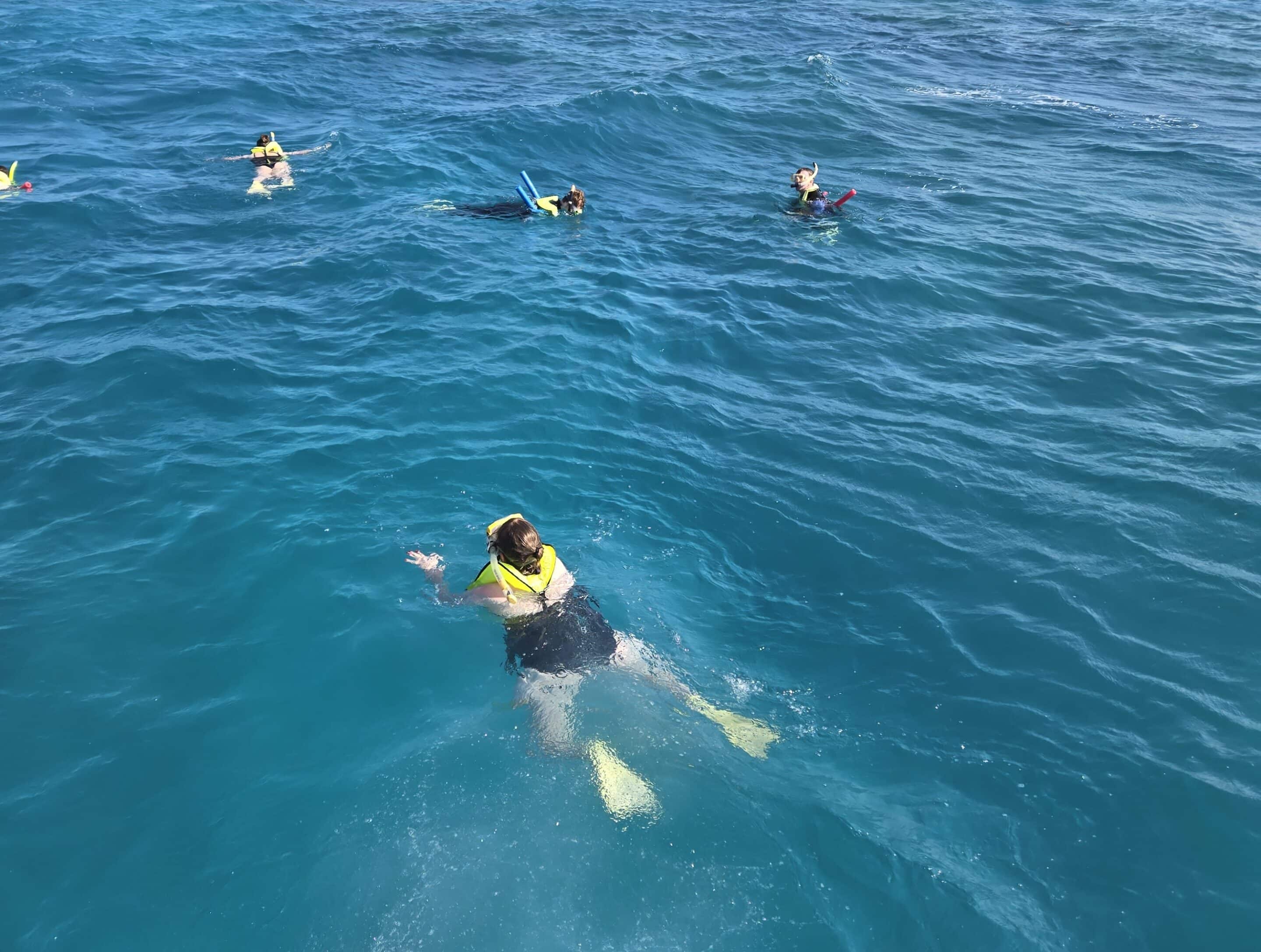 family-friendly-snorkeling-marathon-fl-image6 family friendly snorkeling in marathon fl