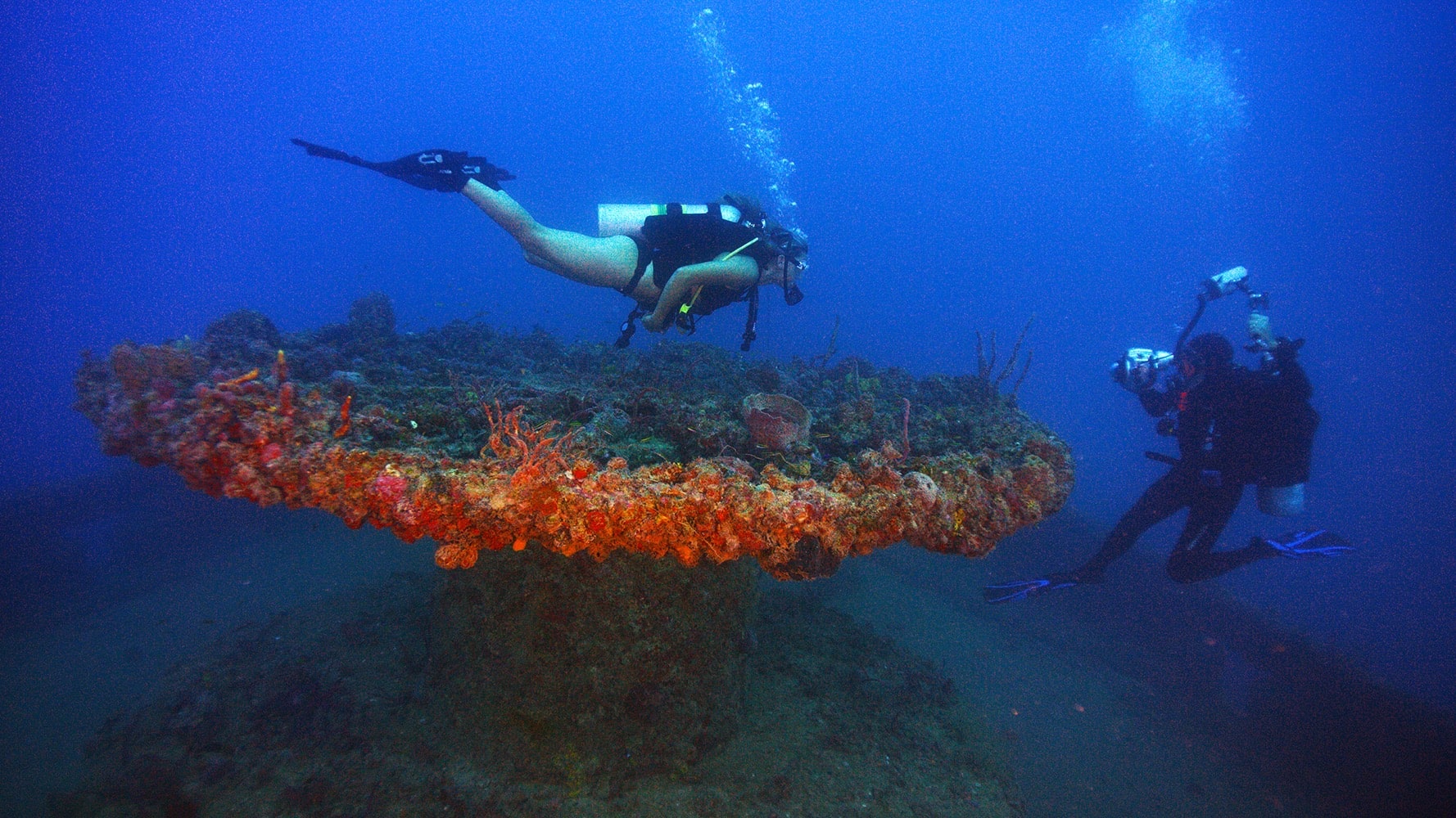 Thunderbolt Wreck Diving: Is Marathon'S Iconic Shipwreck The Right Dive For You? 1 wreck diving thunderbolt marathon