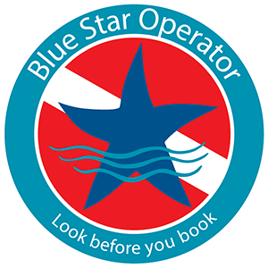 blue star operator florida keys