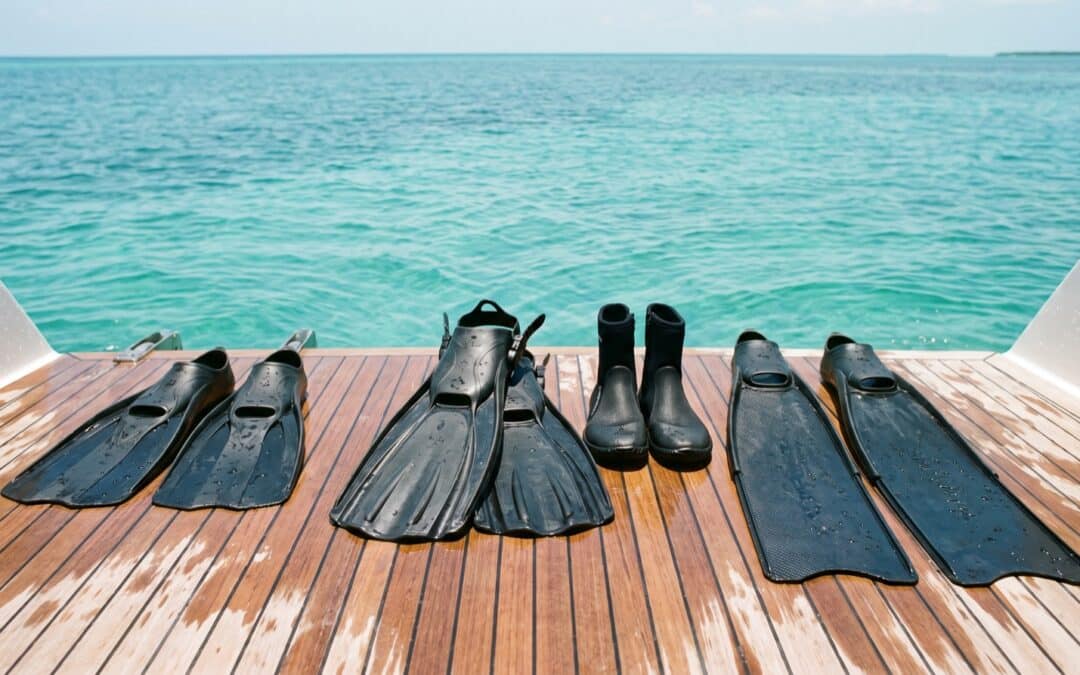 Best Cressi Fins for Snorkeling, Scuba and Freediving